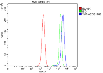 YWHAE Mouse Monoclonal Antibody