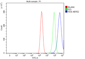 HGS Mouse Monoclonal Antibody