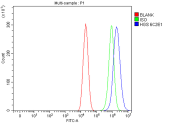 HGS Mouse Monoclonal Antibody