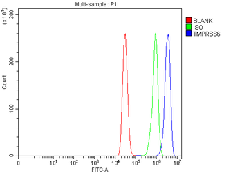 Matriptase 2/TMPRSS6 Rabbit Polyclonal Antibody
