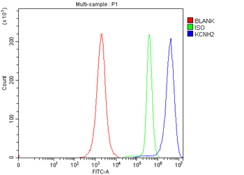 H-ERG/KCNH2/ERG Rabbit Polyclonal Antibody