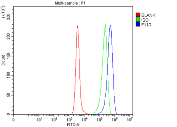 JAM-A/F11R/JAM Rabbit Polyclonal Antibody
