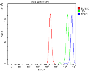 P Glycoprotein/ABCB1 Rabbit Polyclonal Antibody