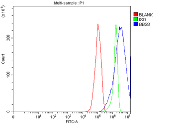 BBS8/TTC8 Rabbit Polyclonal Antibody