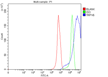 TRPV6 Rabbit Polyclonal Antibody
