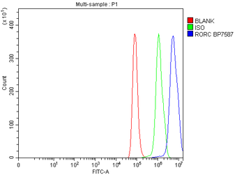 ROR gamma/RORC Rabbit Polyclonal Antibody