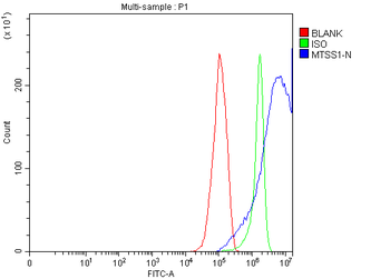 MIM/MTSS1 Rabbit Polyclonal Antibody