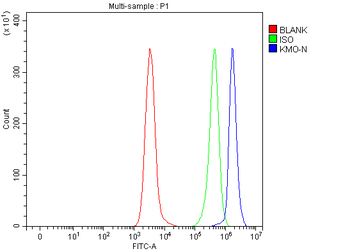 KMO Rabbit Polyclonal Antibody