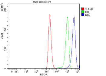 IRS2 Rabbit Polyclonal Antibody