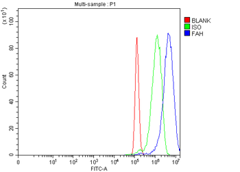 FAA/FAH Rabbit Polyclonal Antibody
