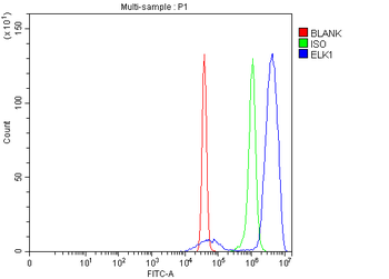 ELK1 Rabbit Polyclonal Antibody