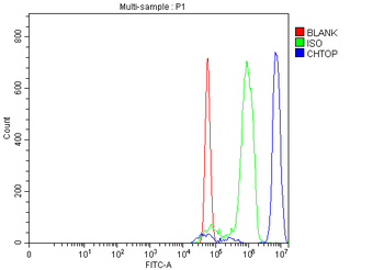 C1orf77/FOP/CHTOP Rabbit Polyclonal Antibody