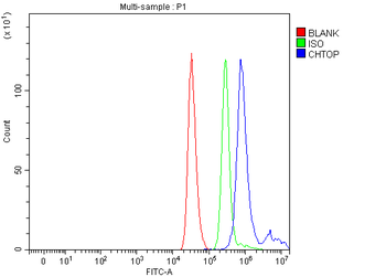C1orf77/FOP/CHTOP Rabbit Polyclonal Antibody