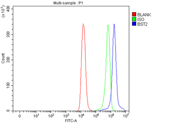 BST2/Tetherin Rabbit Polyclonal Antibody