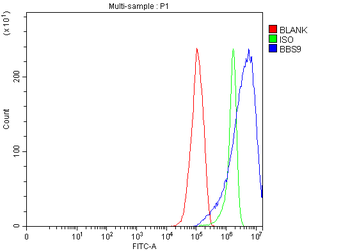 BBS9 Rabbit Polyclonal Antibody