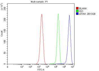 Ataxin 1 Mouse Monoclonal Antibody