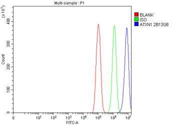 Ataxin 1 Mouse Monoclonal Antibody