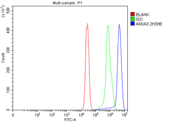Annexin A3 Mouse Monoclonal Antibody