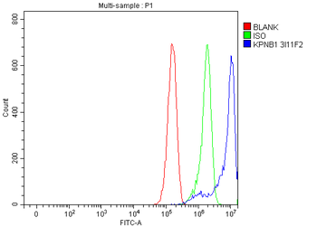 KPNB1 Mouse Monoclonal Antibody