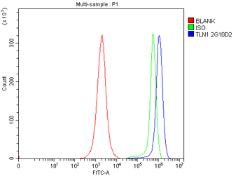 Talin 1/TLN1 Mouse Monoclonal Antibody