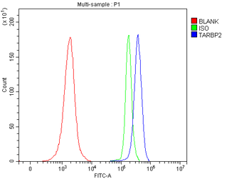 TRBP/TARBP2 Rabbit Polyclonal Antibody