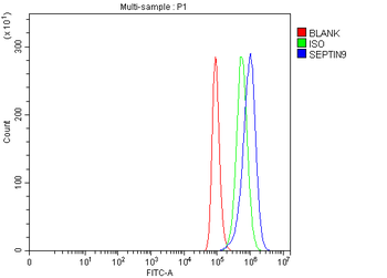 MSF/SEPTIN9 Rabbit Polyclonal Antibody