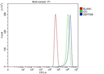 MSF/SEPTIN9 Rabbit Polyclonal Antibody