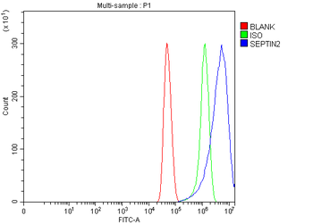 Septin 2/SEPTIN2 Rabbit Polyclonal Antibody
