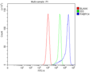 APP-1/PABPC4/APP Rabbit Polyclonal Antibody
