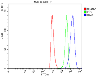 HAX1 Rabbit Polyclonal Antibody