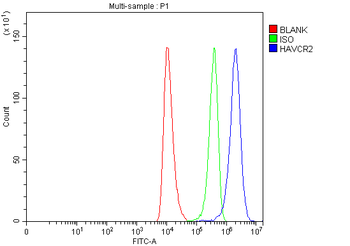 TIM 3/HAVCR2 Rabbit Polyclonal Antibody