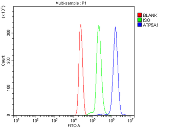 ATP5F1A Rabbit Polyclonal Antibody