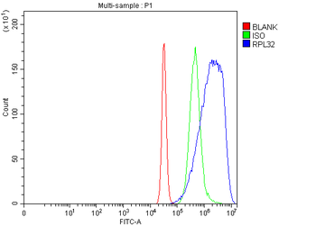 RPL32 Rabbit Polyclonal Antibody