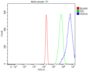 HOXC4 Rabbit Polyclonal Antibody