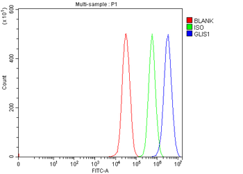 GLIS1 Rabbit Polyclonal Antibody