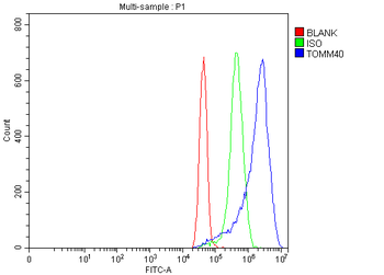 TOMM40 Rabbit Polyclonal Antibody