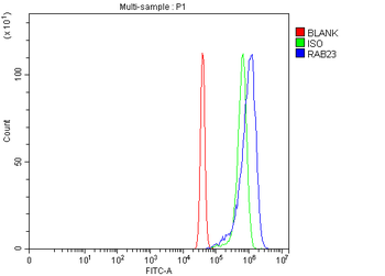 RAB23 Rabbit Polyclonal Antibody