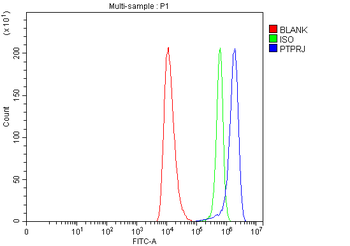 DEP1/PTPRJ Rabbit Polyclonal Antibody