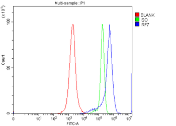 IRF7 Rabbit Polyclonal Antibody