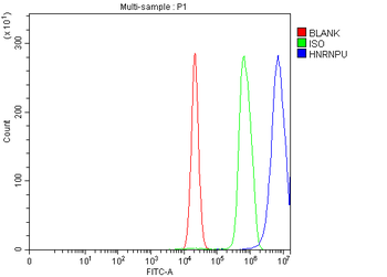 hnRNP U/p120/HNRNPU Rabbit Polyclonal Antibody