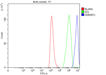 hnRNP U/p120/HNRNPU Rabbit Polyclonal Antibody