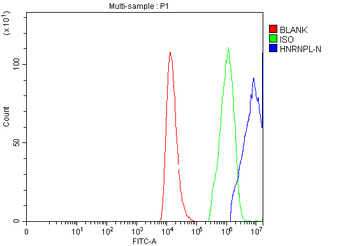 hnRNP L/HNRNPL Rabbit Polyclonal Antibody