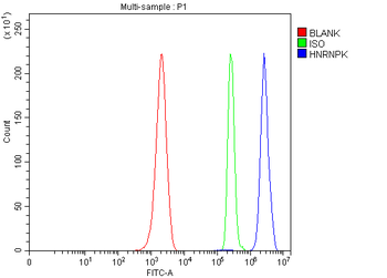 hnRNP K/HNRNPK Rabbit Polyclonal Antibody