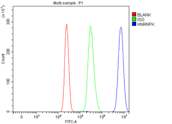 hnRNP K/HNRNPK Rabbit Polyclonal Antibody