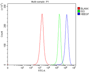 DTR/HBEGF Rabbit Polyclonal Antibody