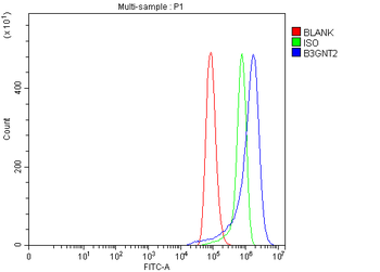 B3GNT2 Rabbit Polyclonal Antibody