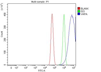 VAPA Rabbit Polyclonal Antibody