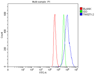 TWIST1/2 Rabbit Polyclonal Antibody