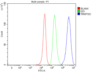 TRMT10C Rabbit Polyclonal Antibody