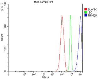 TRIM29 Rabbit Polyclonal Antibody